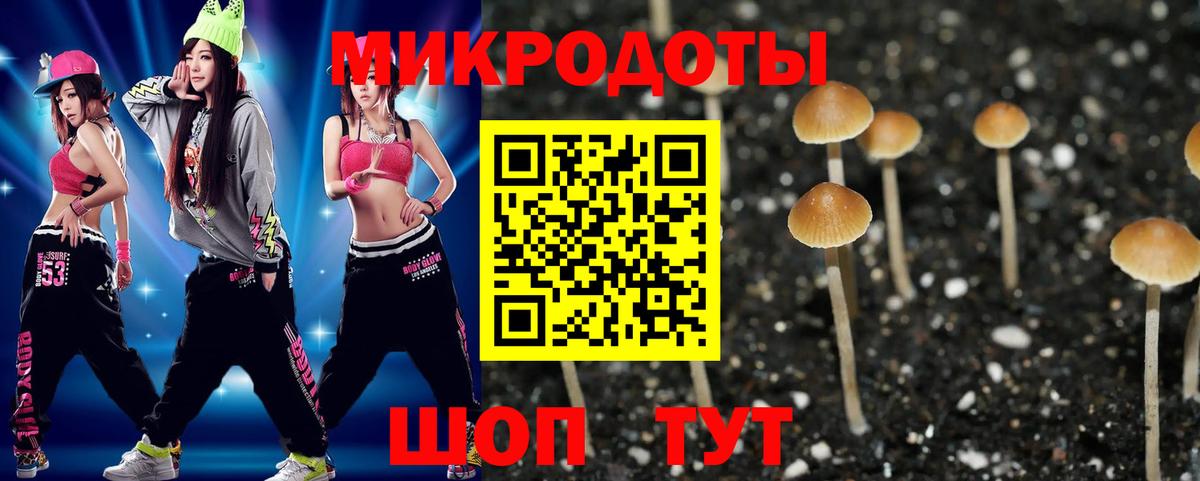 Галлюциногенные грибы прущие грибы  где купить   Славянск-на-Кубани  Вход с VPN 