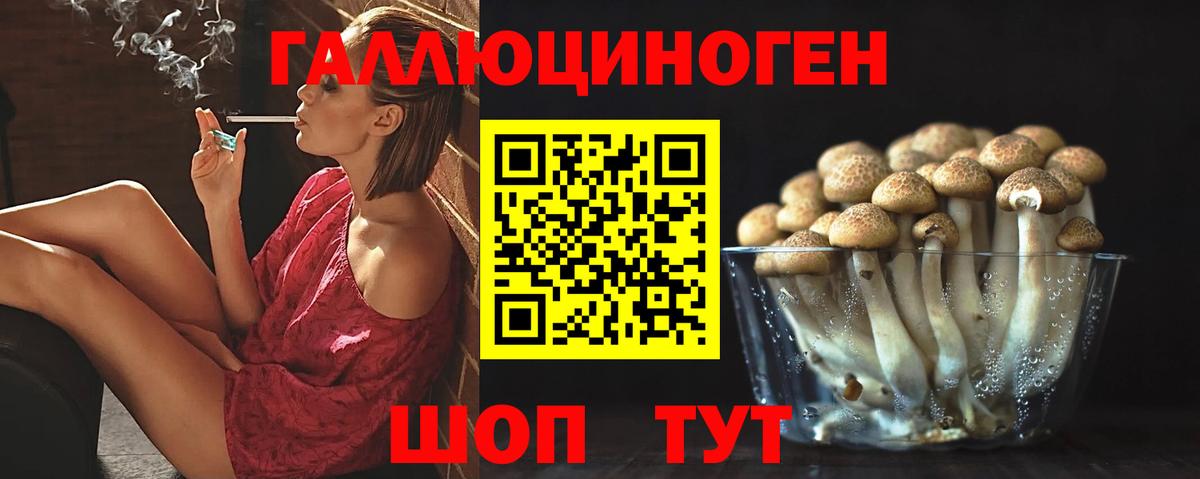 Галлюциногенные грибы Psilocybe Славянск-на-Кубани